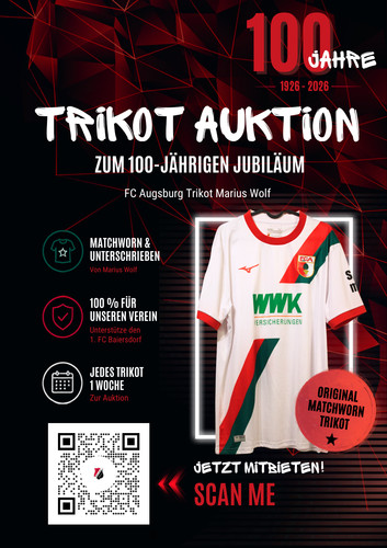 Marius wolf trikot match worn - marius, match-worn