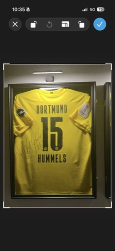 Borussia dortmund bvb - borussia,