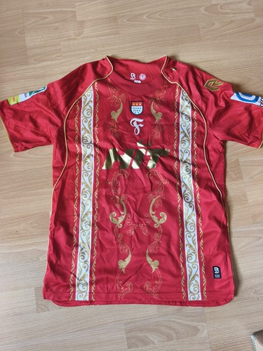 Matchworn trikot fortuna - matchworn, sc